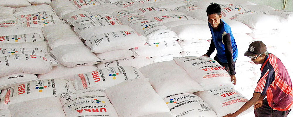 Menargetkan Efisiensi: Meninjau Kembali Reformasi Subsidi Pupuk Indonesia